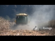 Maize Harvest Rear 2 1561